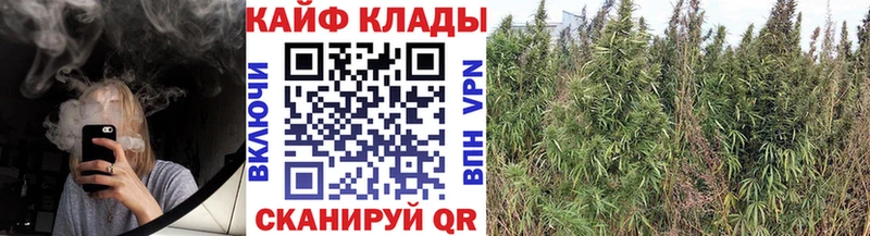 Хочу наркоту Алексин Кокаин  Бошки Шишки  Меф мяу мяу  Гашиш 