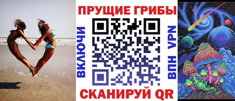 купить наркотик  Алексин  Галлюциногенные грибы Cubensis 